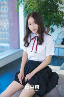 鲨鱼的故事